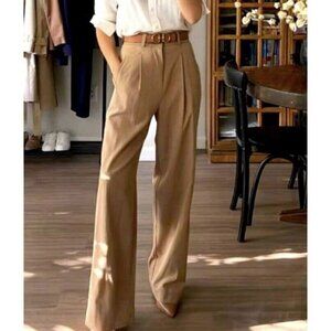 Everlane Way High Drape Pant in Ash Brown Khaki Pleats XS 0